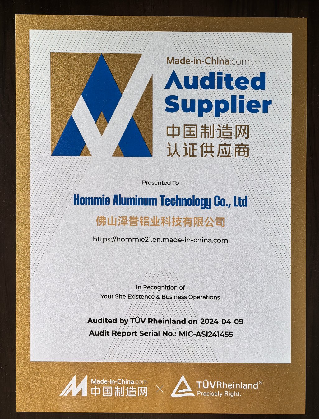 TÜV Audited Supplier